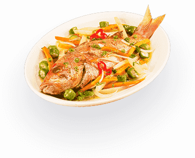 自动攻击网站工具下载